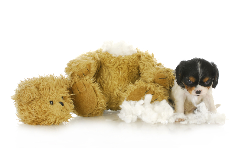 Interactive Activities to Make Recycling Fun for Kids